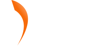 V&TM – Vulpoi & Toader Management